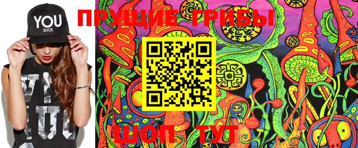 Галлюциногенные грибы Magic Shrooms  закладки  Чайковский  Вход с VPN 